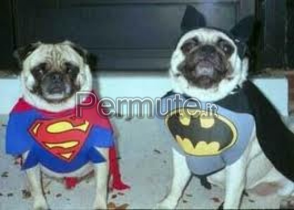 Vestito Per Cane Di Piccola Taglia Vestito Da Sposa Per Cane